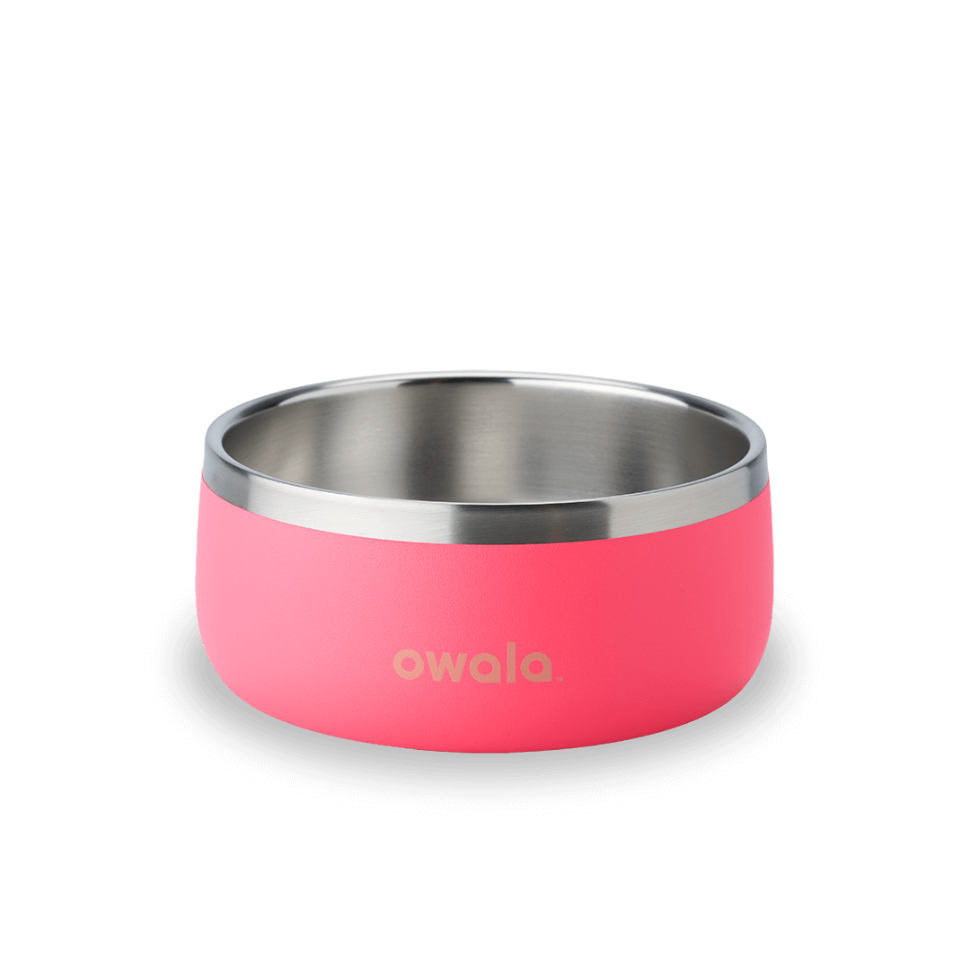 Pet Bowl 0DR7ST