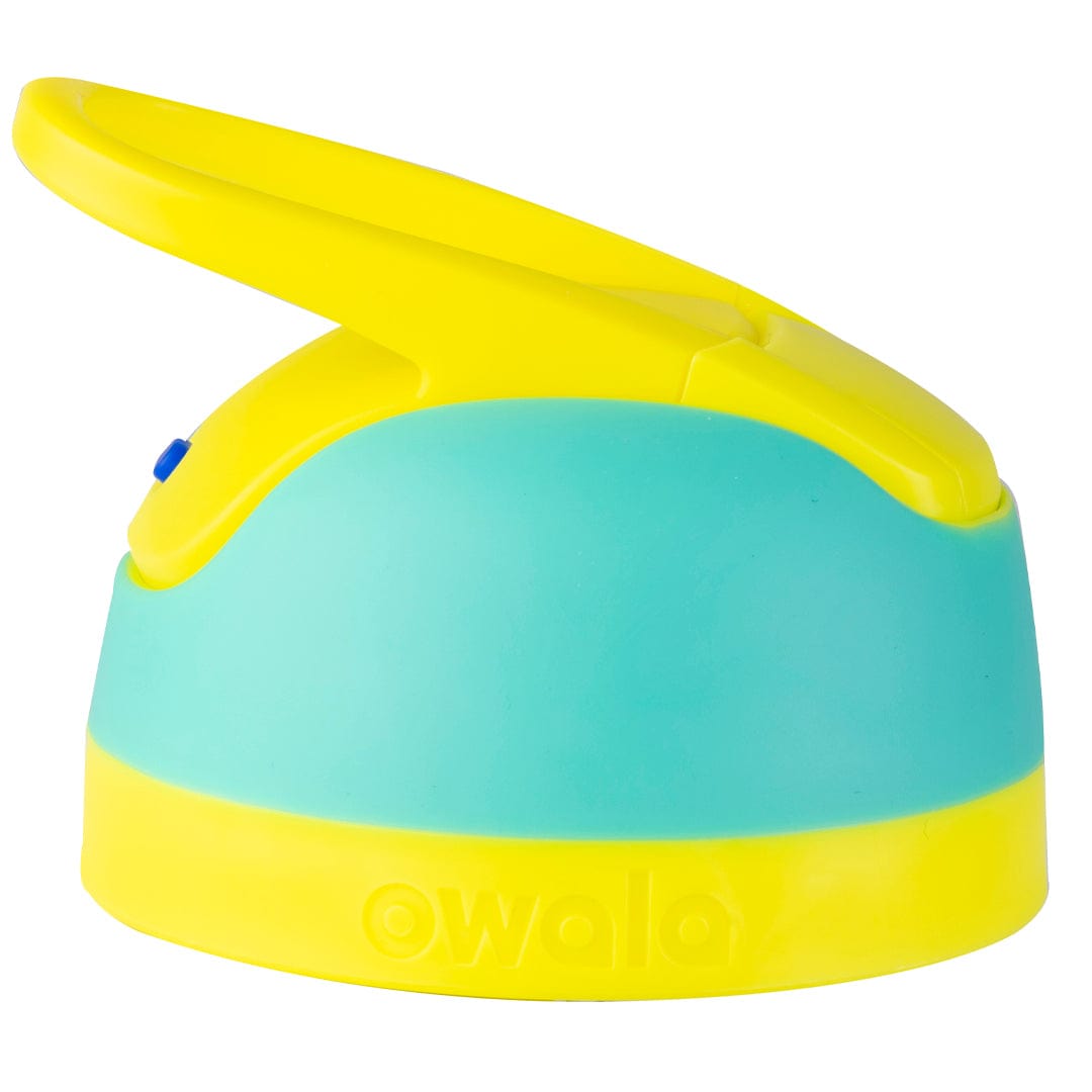 Replacement Lids 1RJTWH